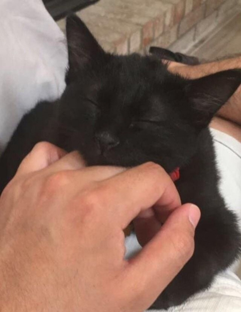 까만 고양이🌚 | 인스티즈