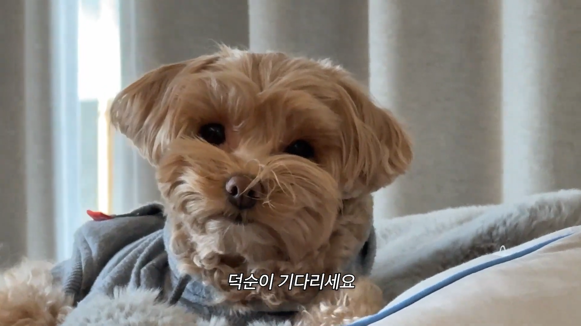 유튜버 헤어몬 복귀, 근황 영상 업로드.jpg | 인스티즈