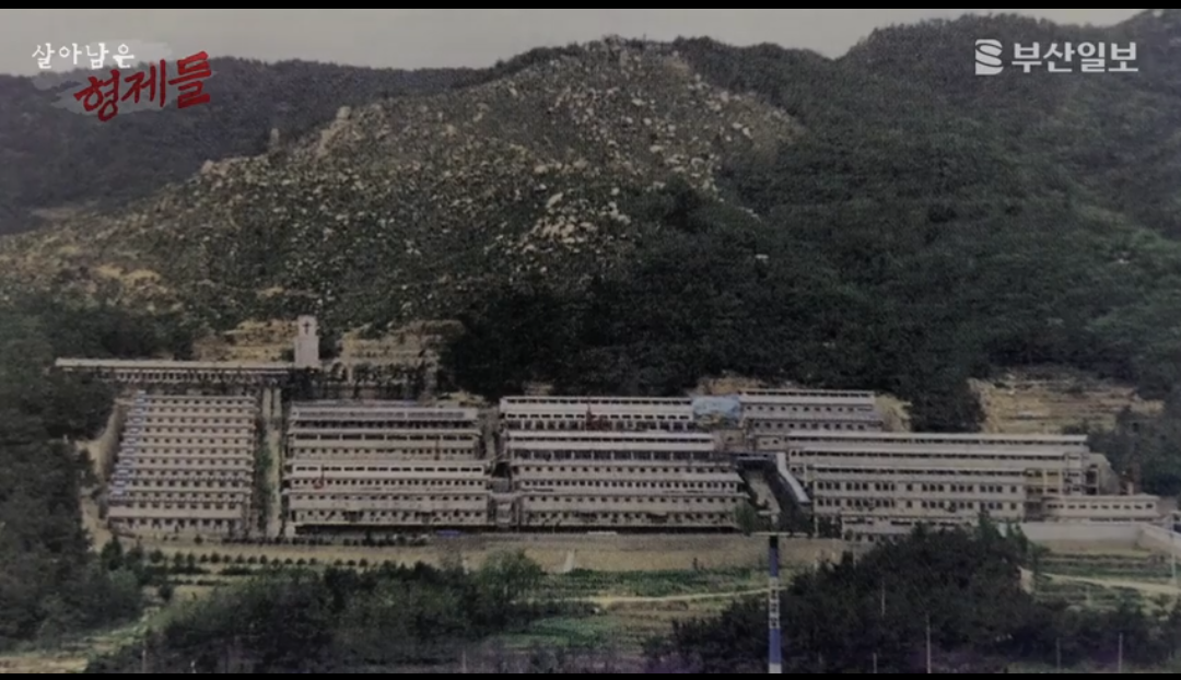 그게 성폭행인 줄도 모르고 몽총한 것들이… | 인스티즈