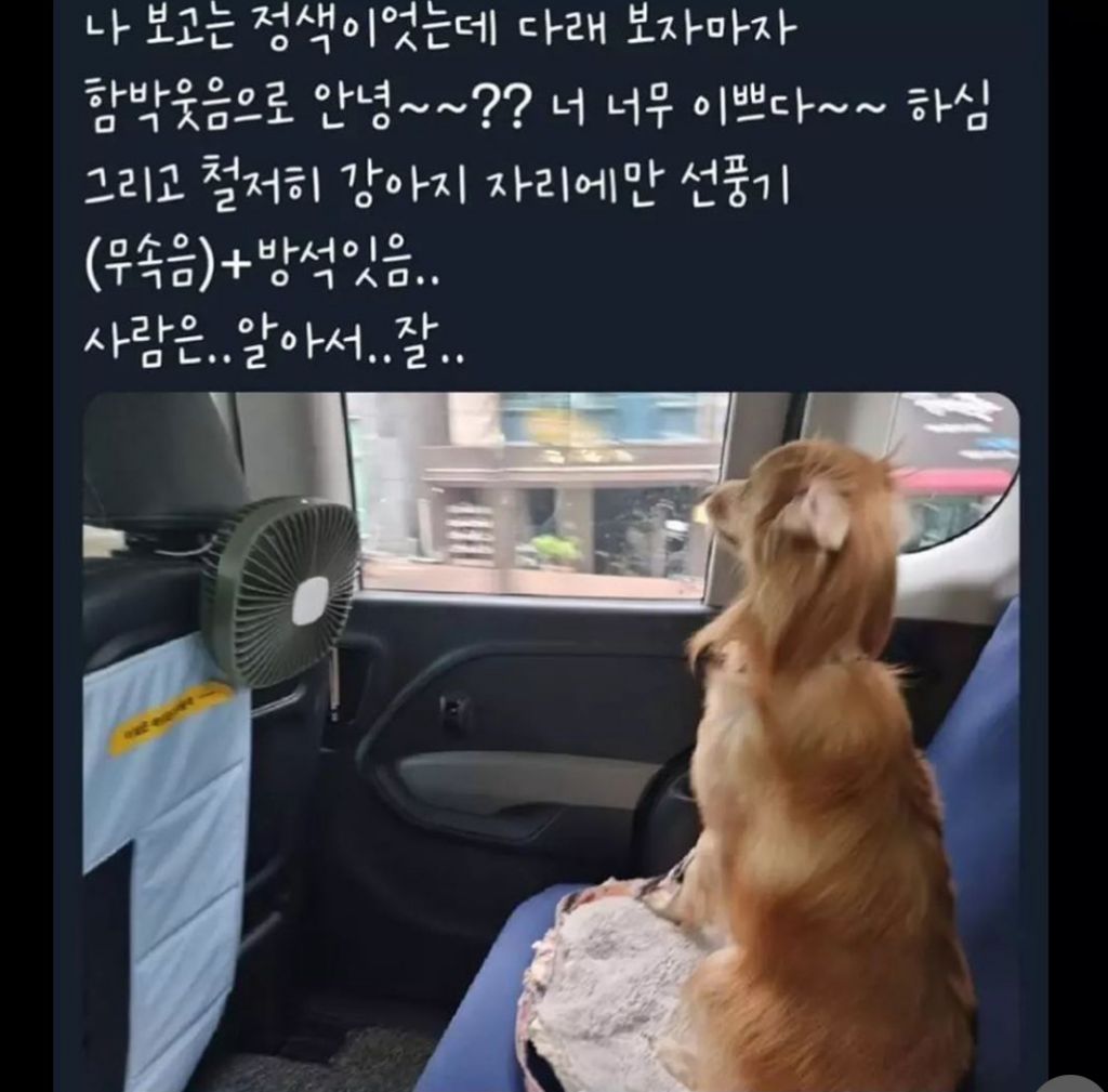 펫택시 탔는데 차별 당함 | 인스티즈