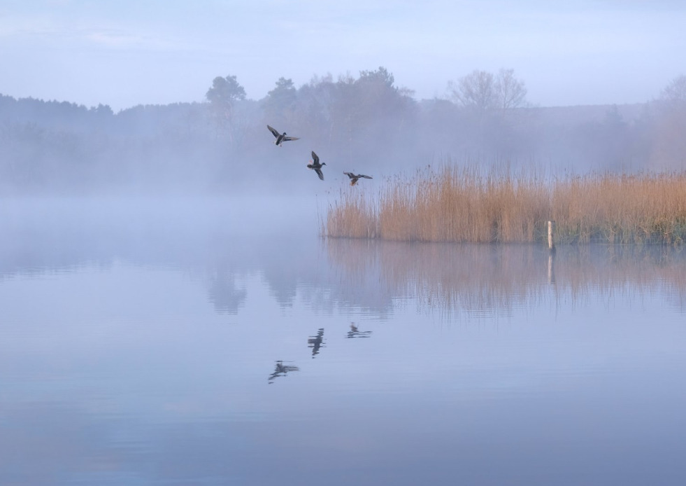 해리포터 홈마 콜린 본체 신기한 근황 | 인스티즈