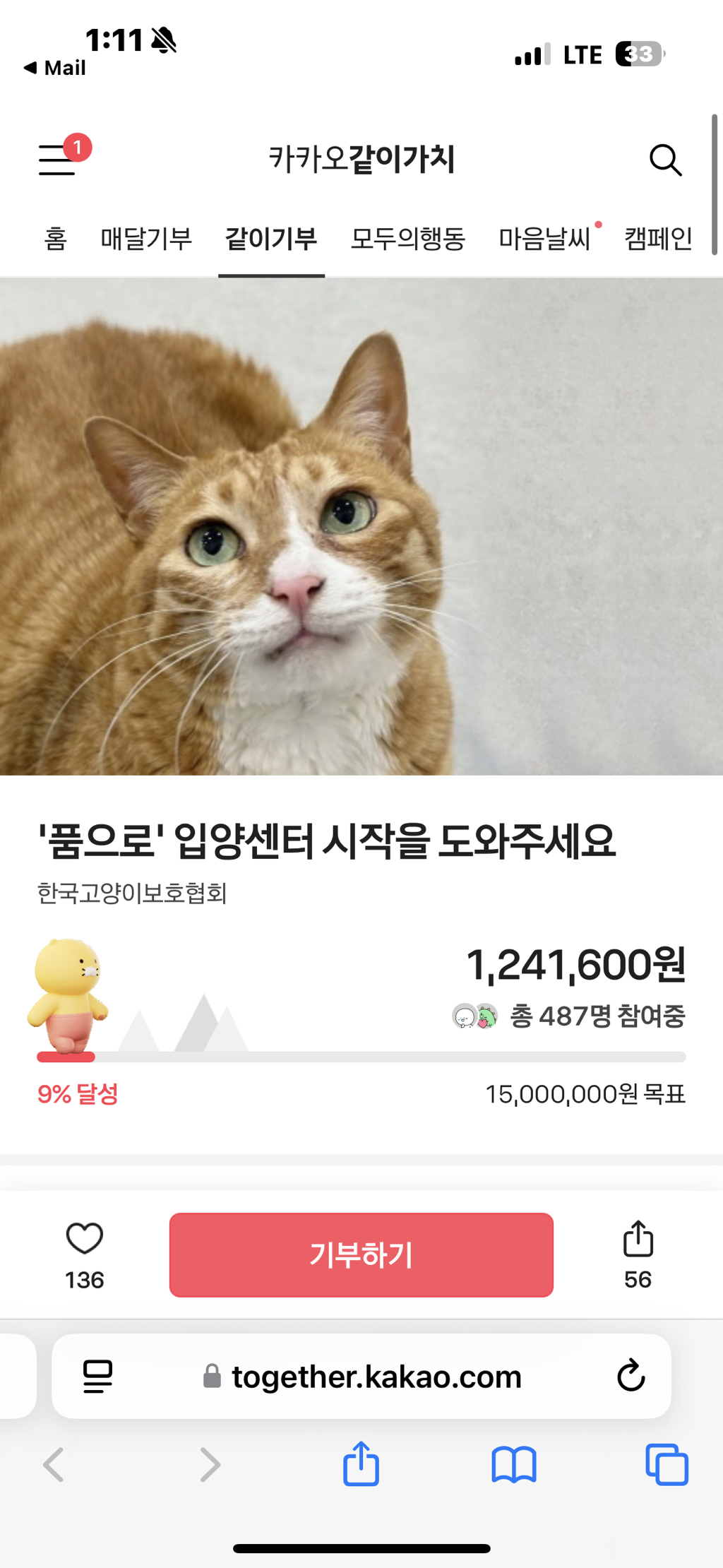  대기업 돈으로 유기묘 입양센터 지어보자 🐱💸