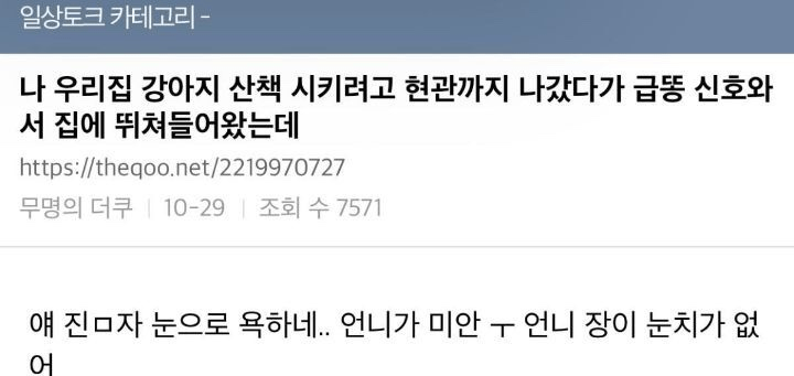 산책 가려다 급똥 때문에 집에 돌아온 주인을 보는 댕댕이 표정 | 인스티즈