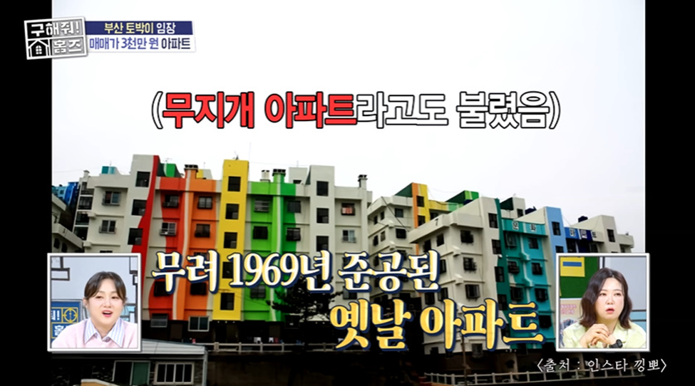 이 정도면 왜 다시 리모델링 안하는지 궁금한 어제 방송 나온 개 힙한 아파트 | 인스티즈