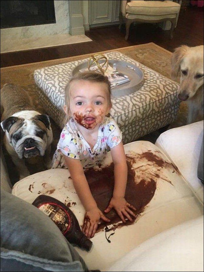 주인아 미안하다 그렇게 됐다 | 인스티즈