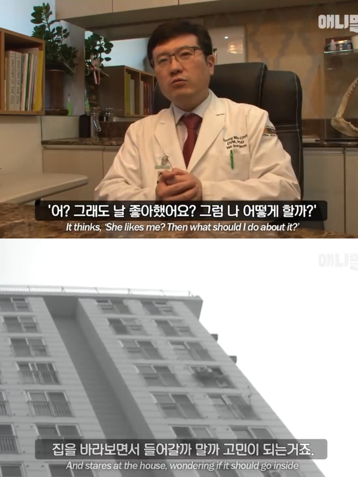 집 나간후 아파트주차장에서 주인만 올려다보는 개 | 인스티즈