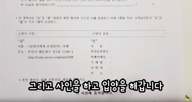 입양 9년만에 파양되어 돌아온 고양이 '둥이' | 인스티즈