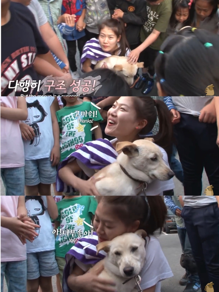 집 나간후 아파트주차장에서 주인만 올려다보는 개 | 인스티즈