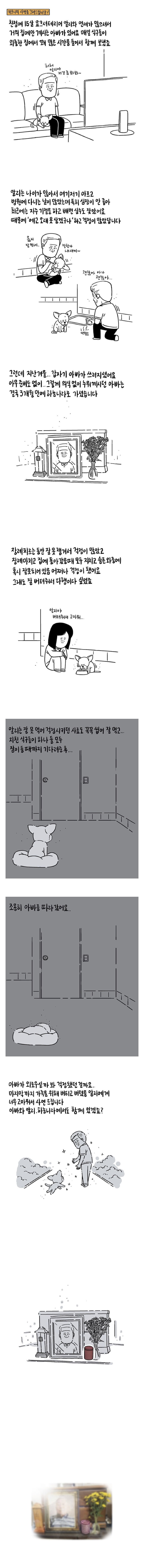 갑자기 떠난 아빠와 15살 강아지 | 인스티즈