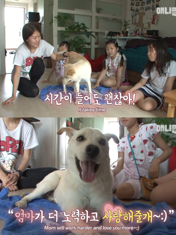 집 나간후 아파트주차장에서 주인만 올려다보는 개 | 인스티즈