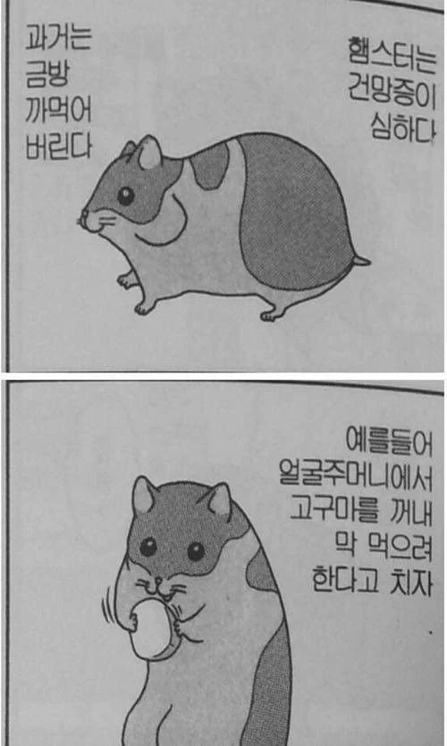 햄스터는 건망증이 심하다.jpg | 인스티즈