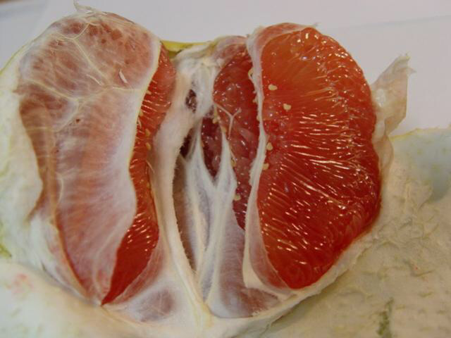 중국의 모든 유자柚子 또는 동남아의 포멜로 | 인스티즈