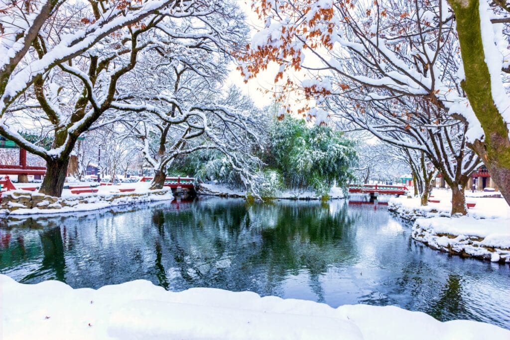 요즘 사극 드라마 촬영지 1순위로 꼽힌다는 장소 (진짜예쁨) | 인스티즈