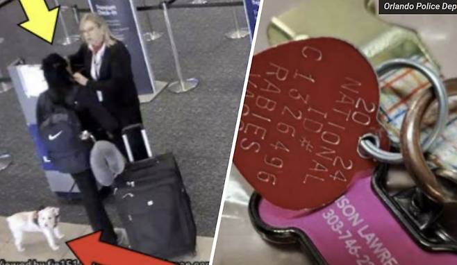 반려견 비행기 탑승 거부당하자…화장실서 익사시킨 美여성 | 인스티즈