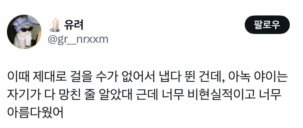 이때 제대로 걸을 수가 없어서 냅다 뛴 건데, 아녹 야이는 자기가 다 망친 줄 알았대 근데 너무 비현실적이고 너무 아름다웠어.twt | 인스티즈