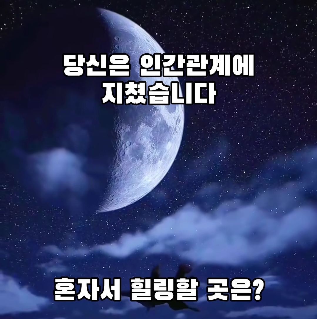 당신은 인간관계에 지쳤습니다. 혼자서 힐링할 곳은? | 인스티즈