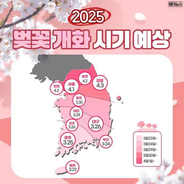 2025 국내 벚꽃 개화 시기 예상 지도 | 인스티즈