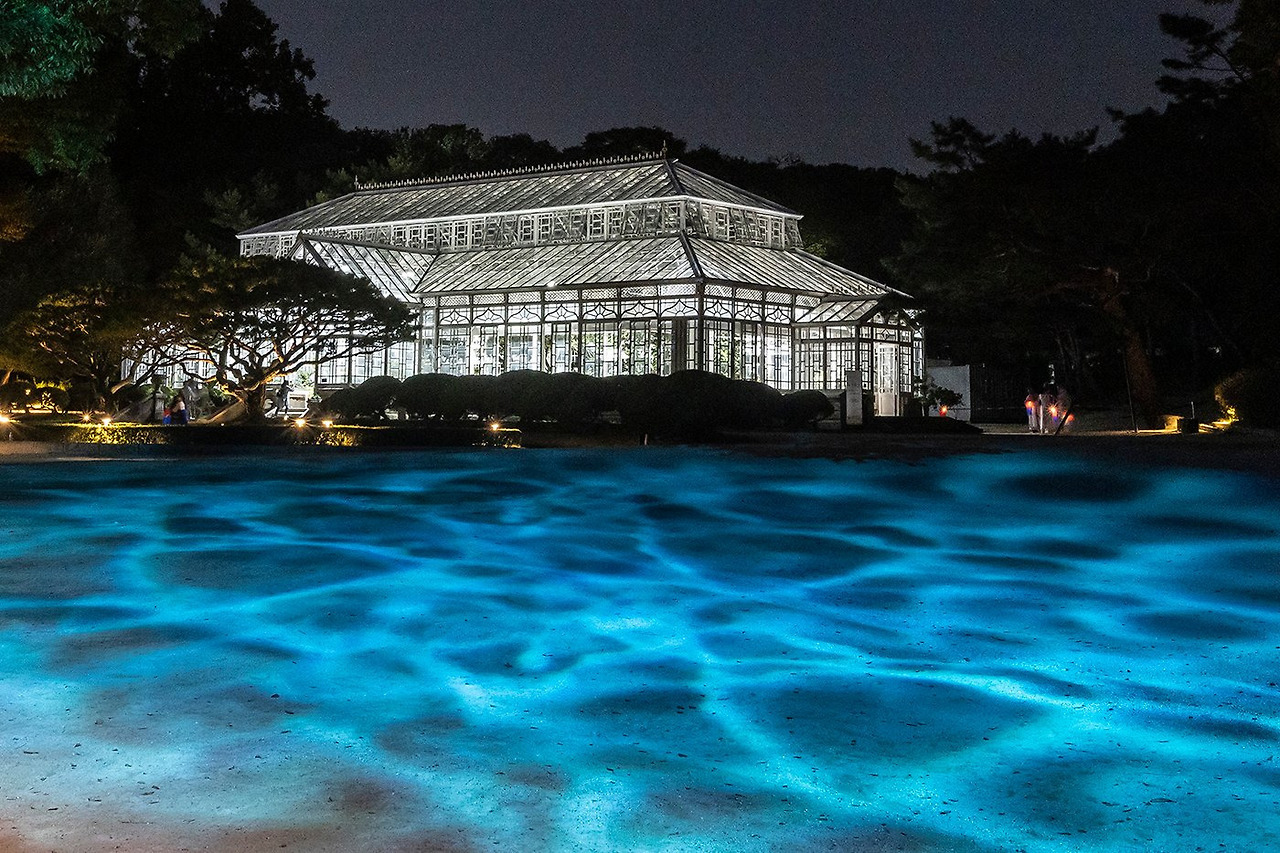 올해도 돌아온 4대 궁궐 야간 프로그램 | 인스티즈