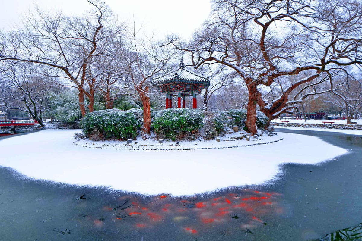 요즘 사극 드라마 촬영지 1순위로 꼽힌다는 장소 (진짜예쁨) | 인스티즈