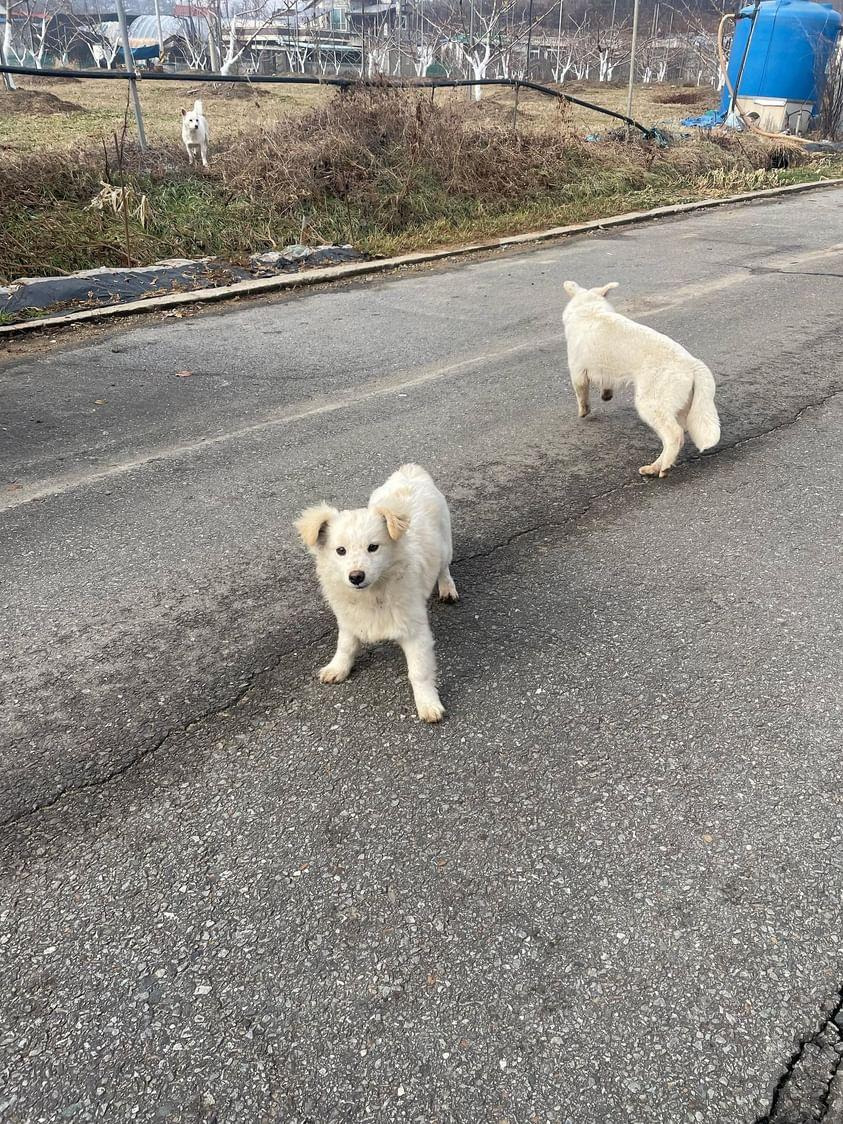 우리집 둘째 변천사,,, | 인스티즈