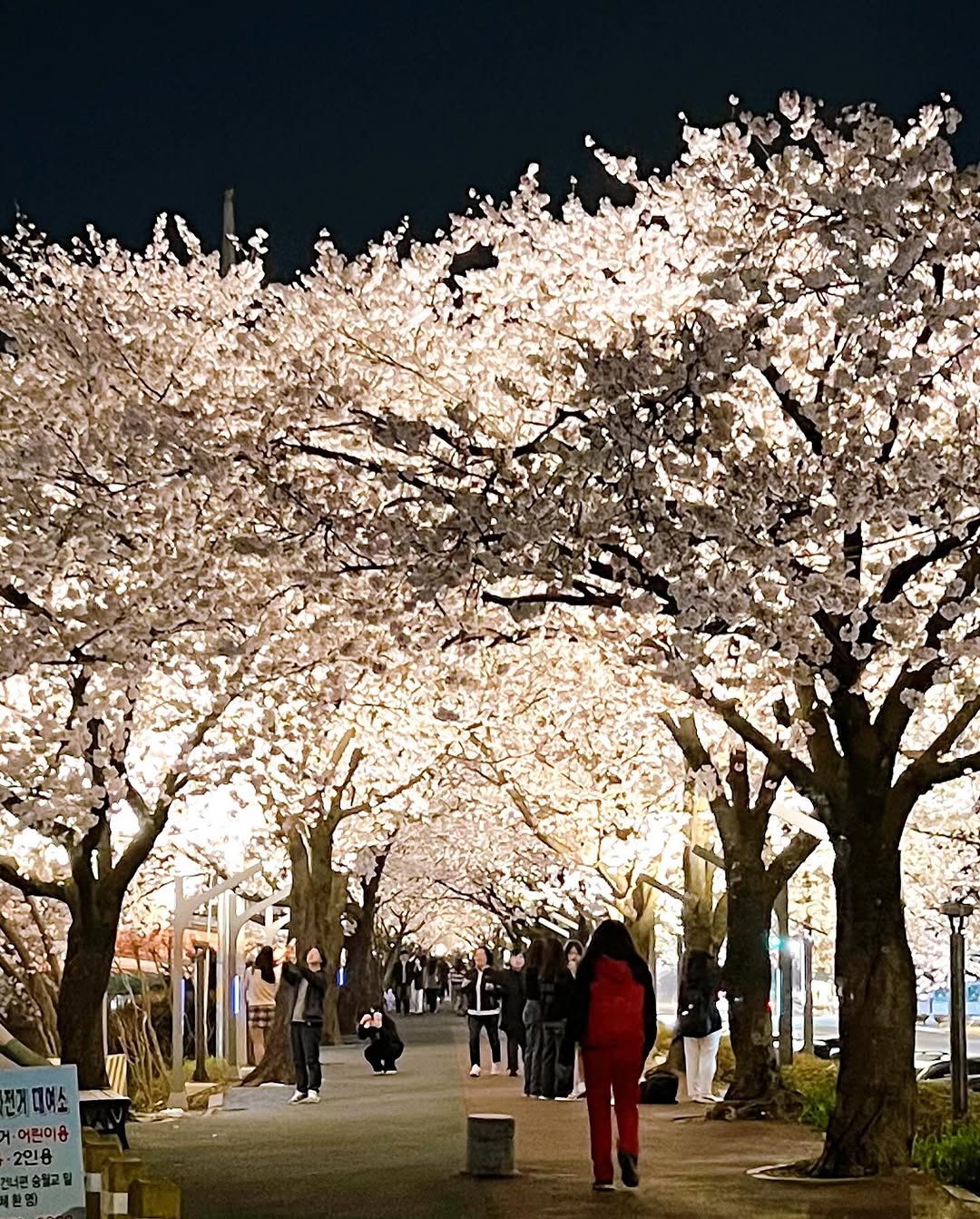 요즘 사극 드라마 촬영지 1순위로 꼽힌다는 장소 (진짜예쁨) | 인스티즈