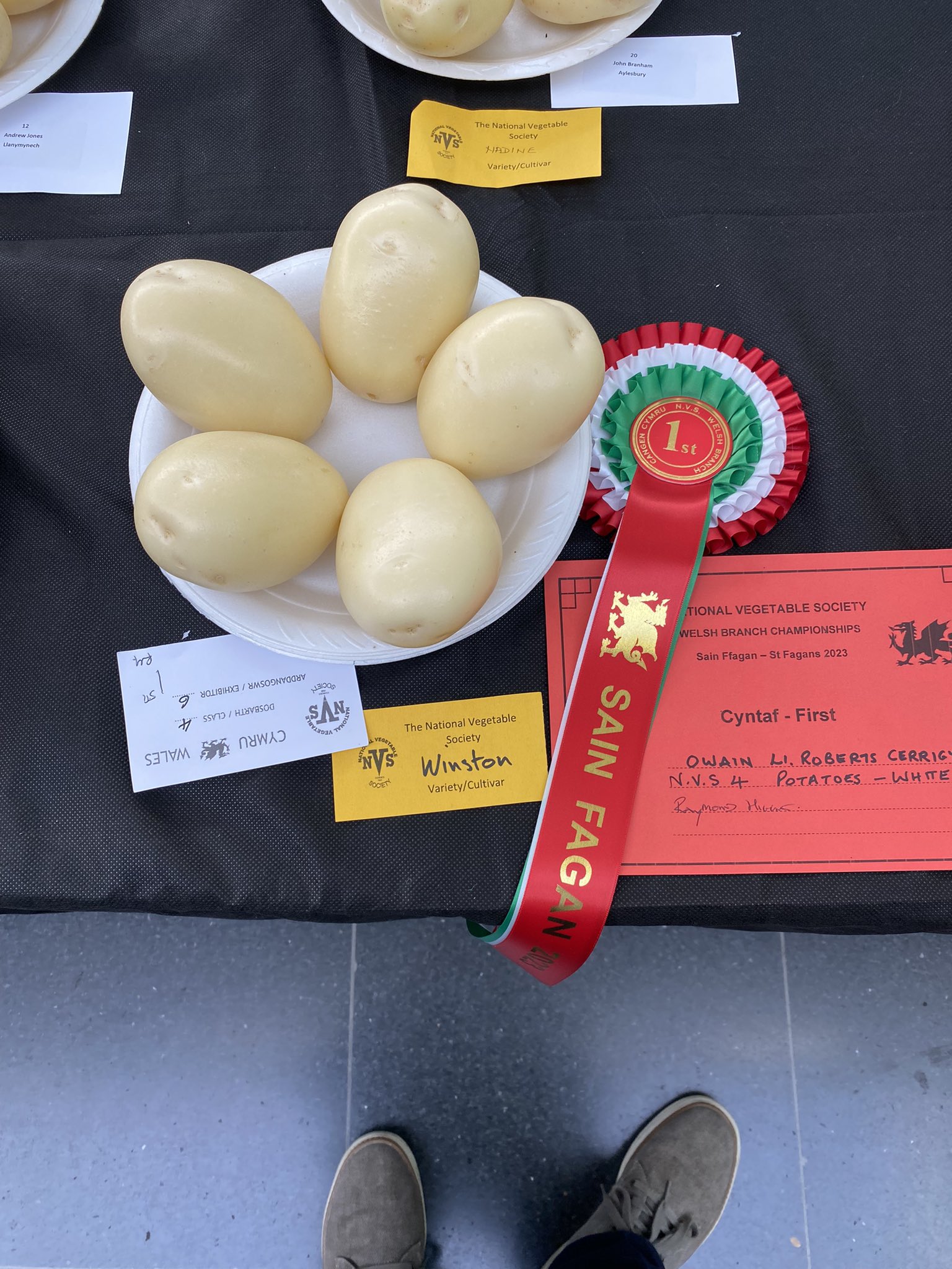 예쁜 야채 대회 수상작들 | 인스티즈