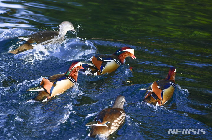요즘 사극 드라마 촬영지 1순위로 꼽힌다는 장소 (진짜예쁨) | 인스티즈