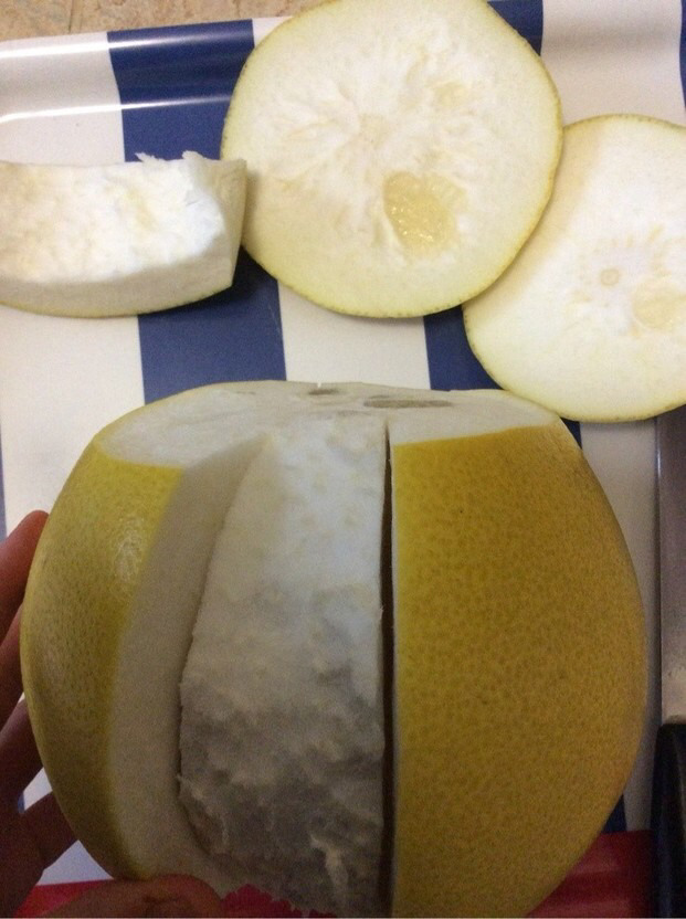 중국의 모든 유자柚子 또는 동남아의 포멜로 | 인스티즈