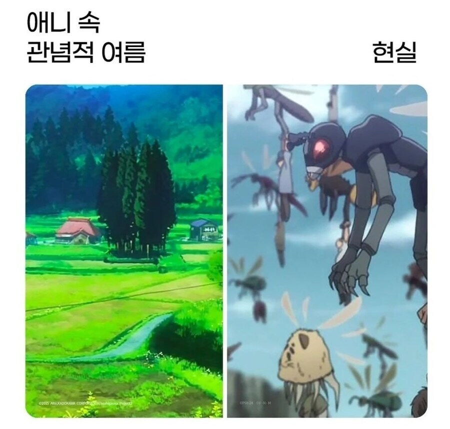애니 속 관념적 여름 vs 현실 | 인스티즈