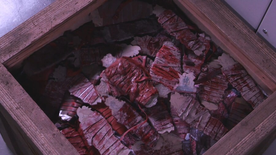 약스포) 애들이 보는 신작 가면라이더 설정 수준 | 인스티즈