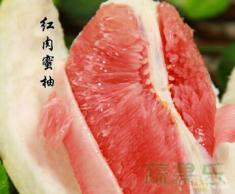 중국의 모든 유자柚子 또는 동남아의 포멜로 | 인스티즈