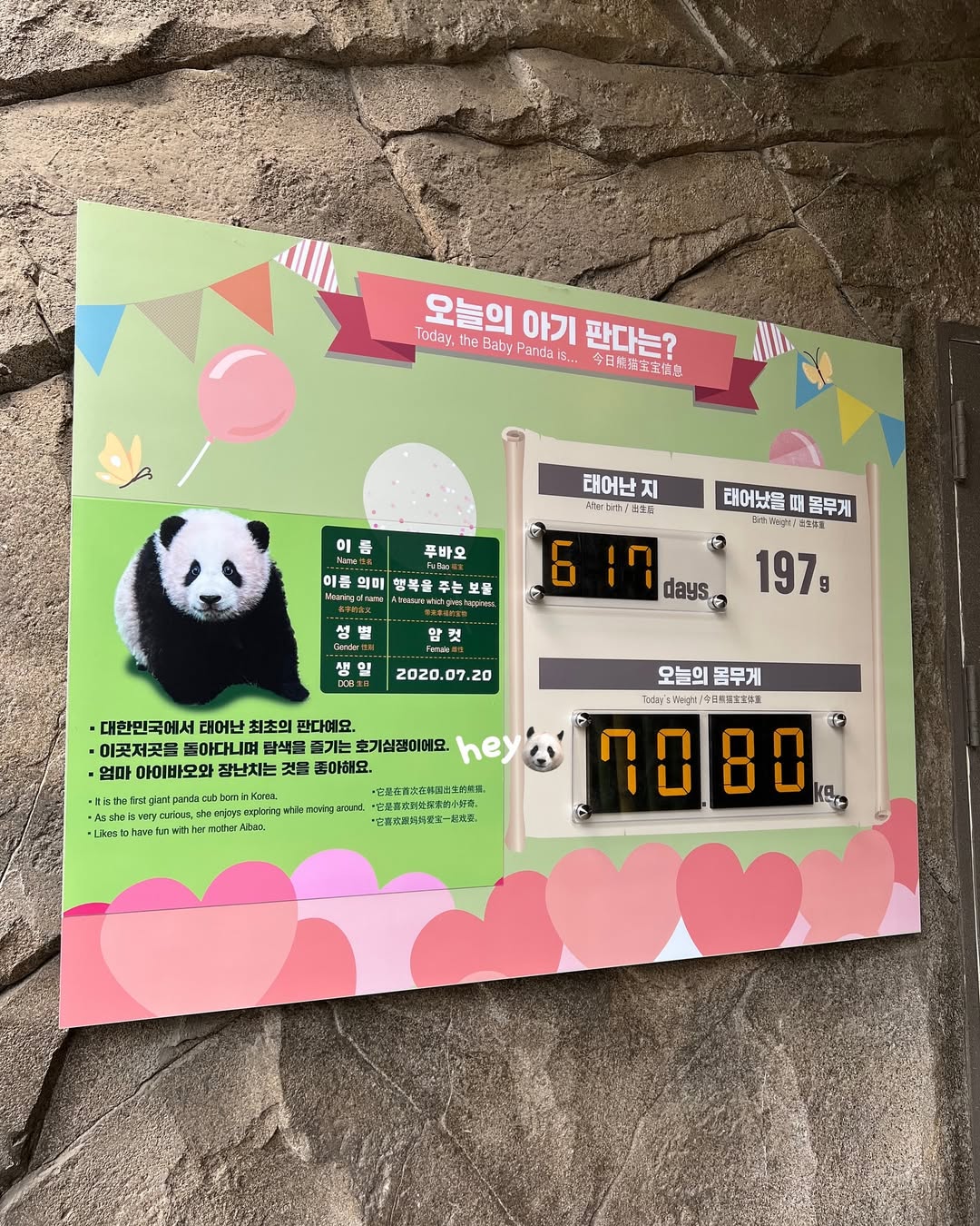 비슷한 시기 루이바오 후이바오 푸바오 몸무게🐼🐼🐼 | 인스티즈