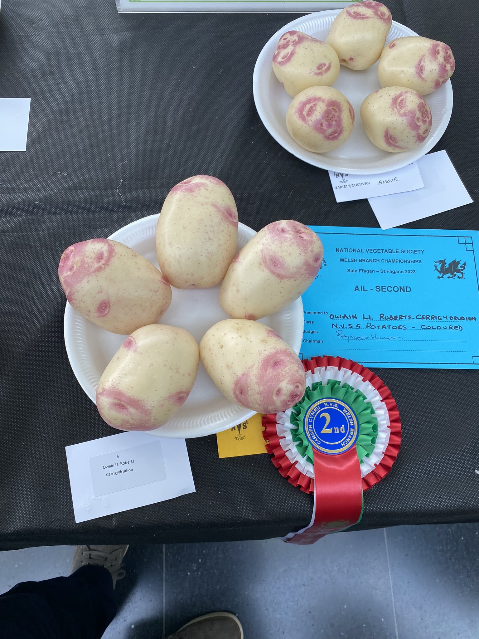 예쁜 야채 대회 수상작들 | 인스티즈