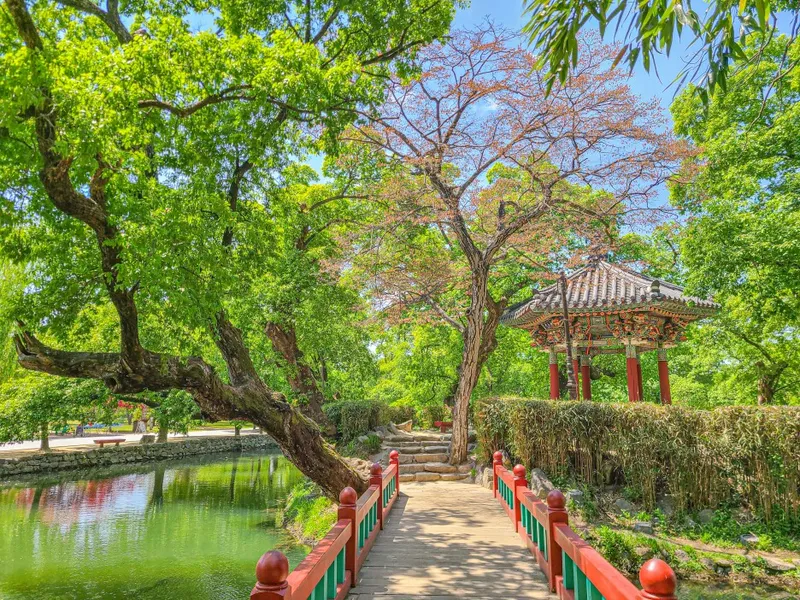 요즘 사극 드라마 촬영지 1순위로 꼽힌다는 장소 (진짜예쁨) | 인스티즈