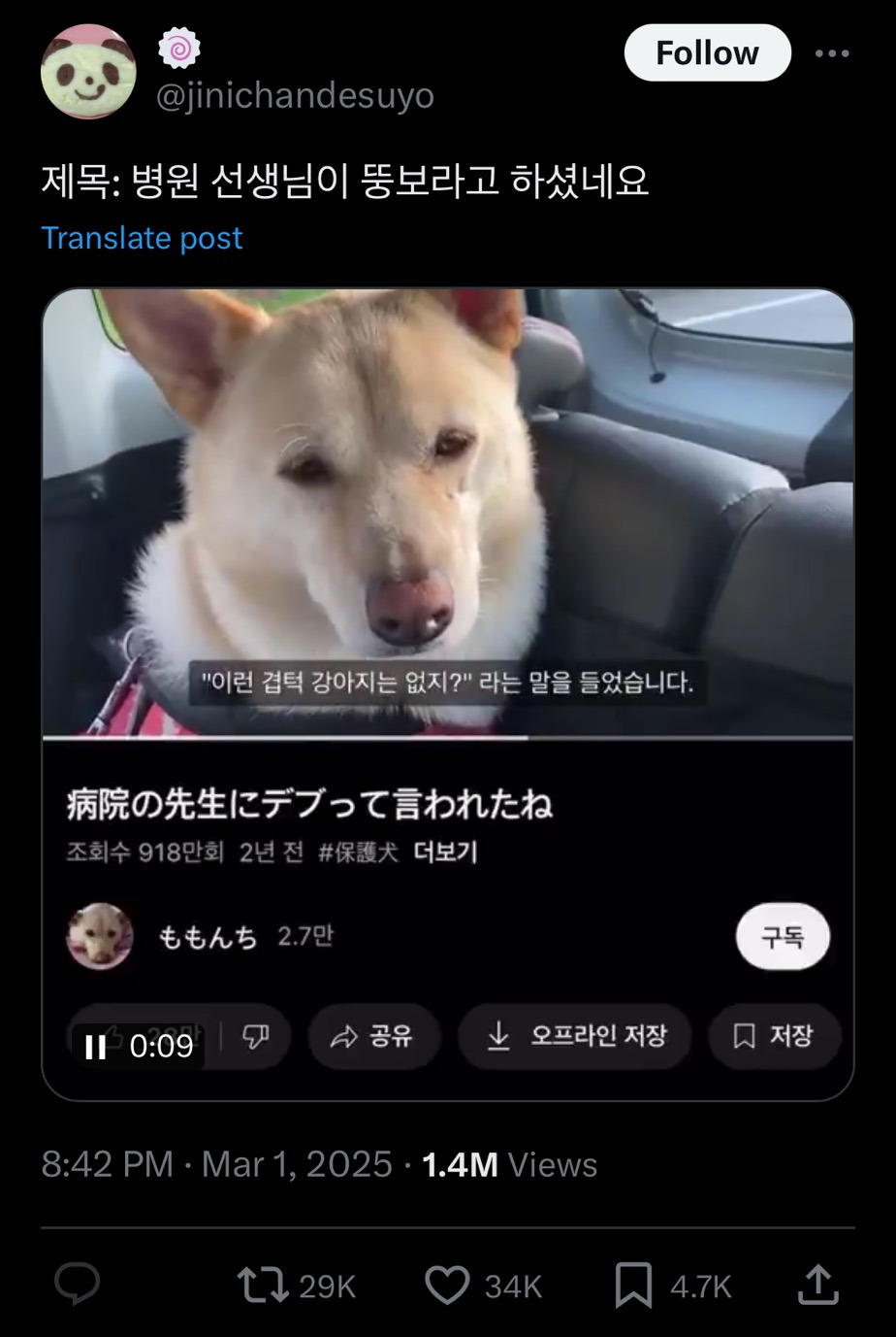 고등학생땐 아이돌이랑 진짜 사귀고 싶었는데ㅋㅋㅋ 성인되니까.twt | 인스티즈