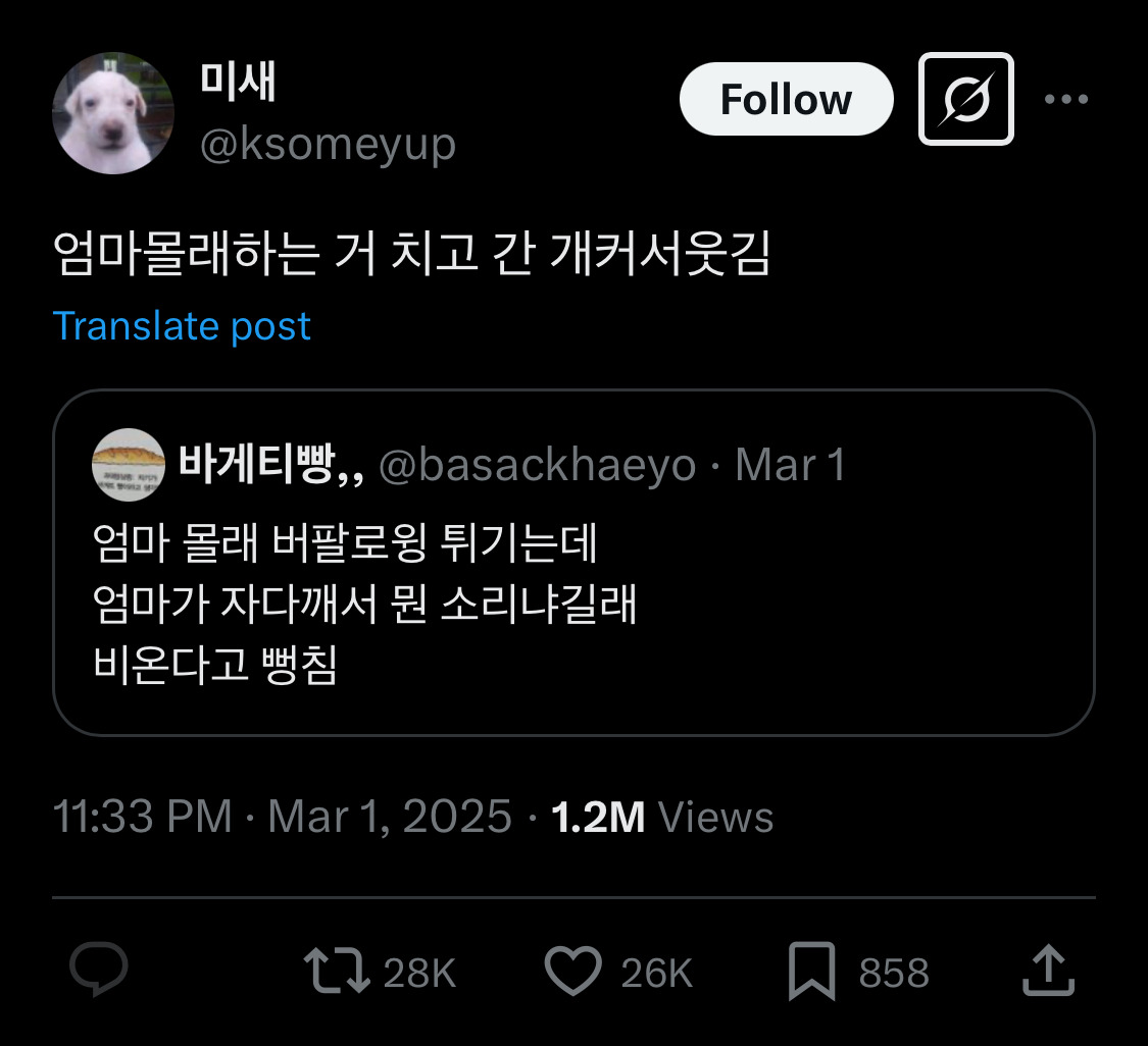 고등학생땐 아이돌이랑 진짜 사귀고 싶었는데ㅋㅋㅋ 성인되니까.twt | 인스티즈