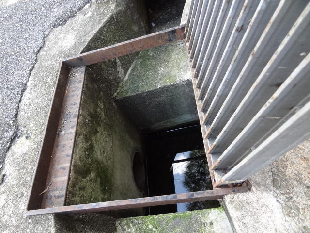 일반인의 지하 3m 하수도에 빠진 새끼고양이 구출기 | 인스티즈