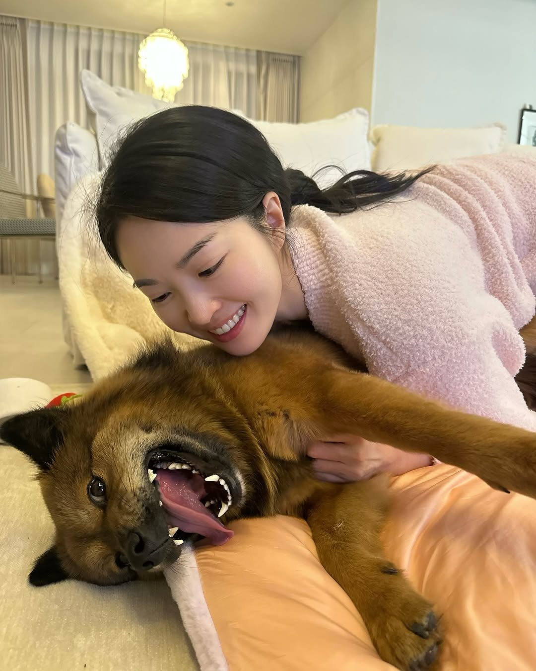 동물농장 똥개보필프로젝트에 참여중인 연예인과 임보 강아지들 | 인스티즈