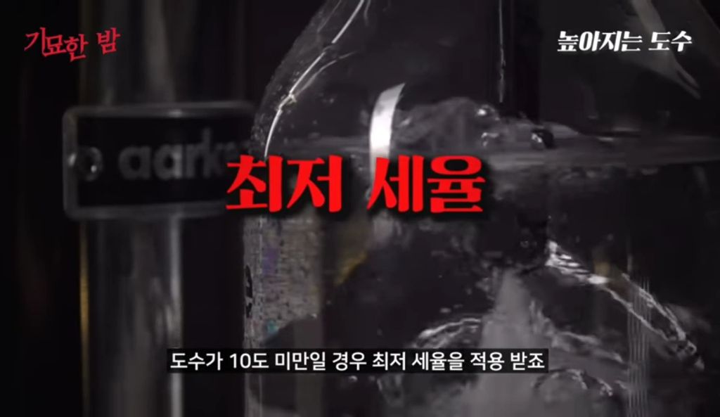 일본에 알콜 중독을 퍼트린 츄하이 | 인스티즈