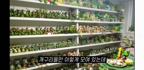 엄마가 30년 동안 모은 개구리방.jpg | 인스티즈