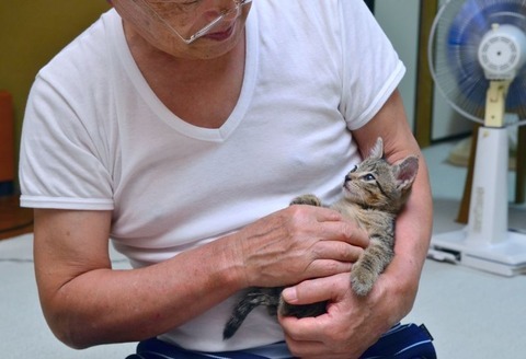 일반인의 지하 3m 하수도에 빠진 새끼고양이 구출기 | 인스티즈