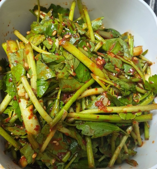 호불호 갈리는 식재료지만 3-4월 제철을 맞는 채소.jpg | 인스티즈