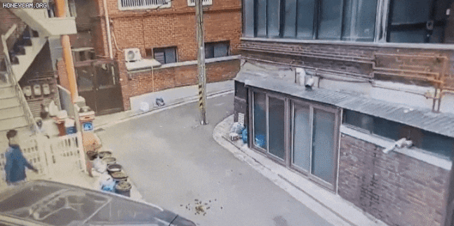 2년전 오늘 일어난 일 | 인스티즈