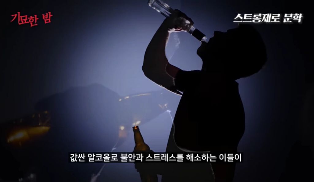 일본에 알콜 중독을 퍼트린 츄하이 | 인스티즈