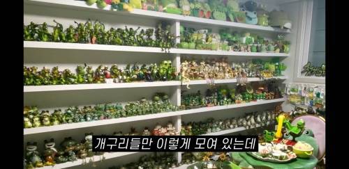 엄마가 30년 동안 모은 개구리방.jpg | 인스티즈