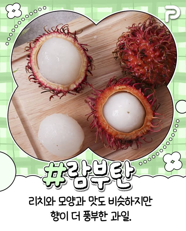 동남아 여행 필수 과일 리스트.jpg | 인스티즈