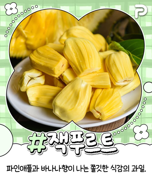 동남아 여행 필수 과일 리스트.jpg | 인스티즈