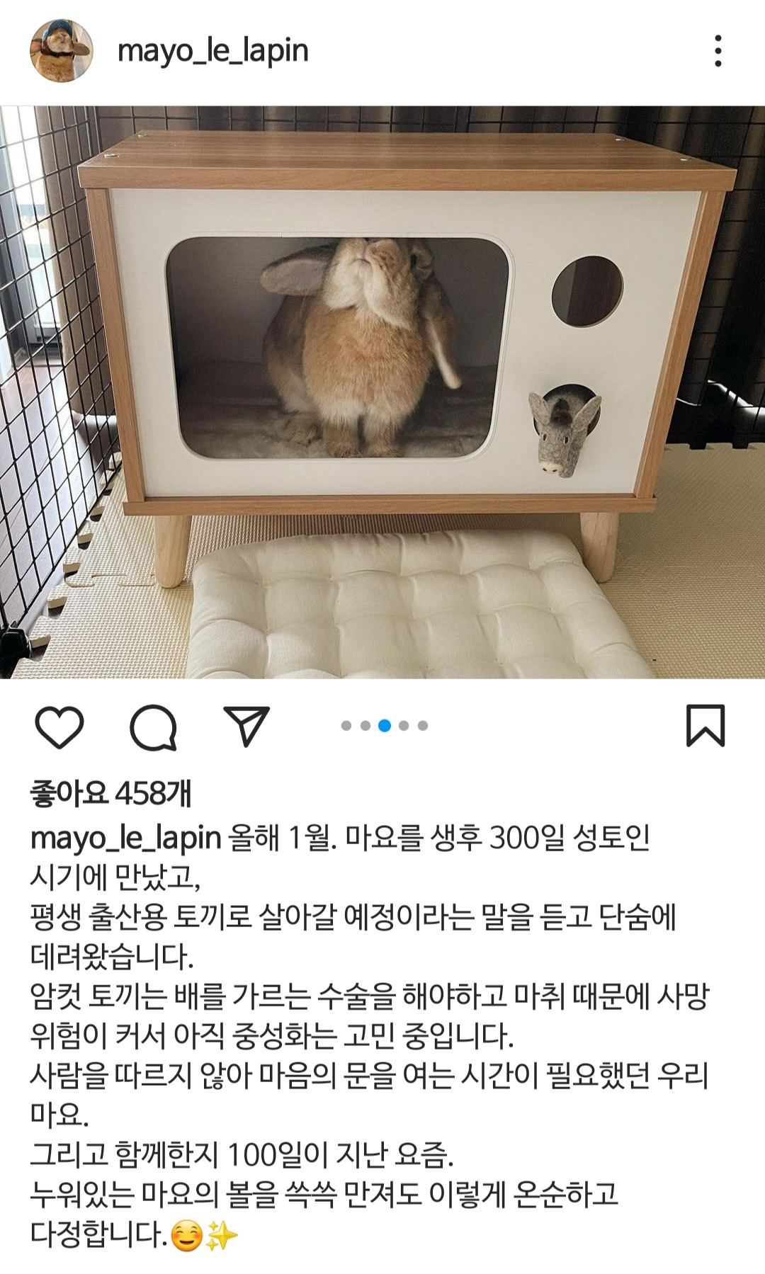 하연수가 키우는 토끼.jpg | 인스티즈