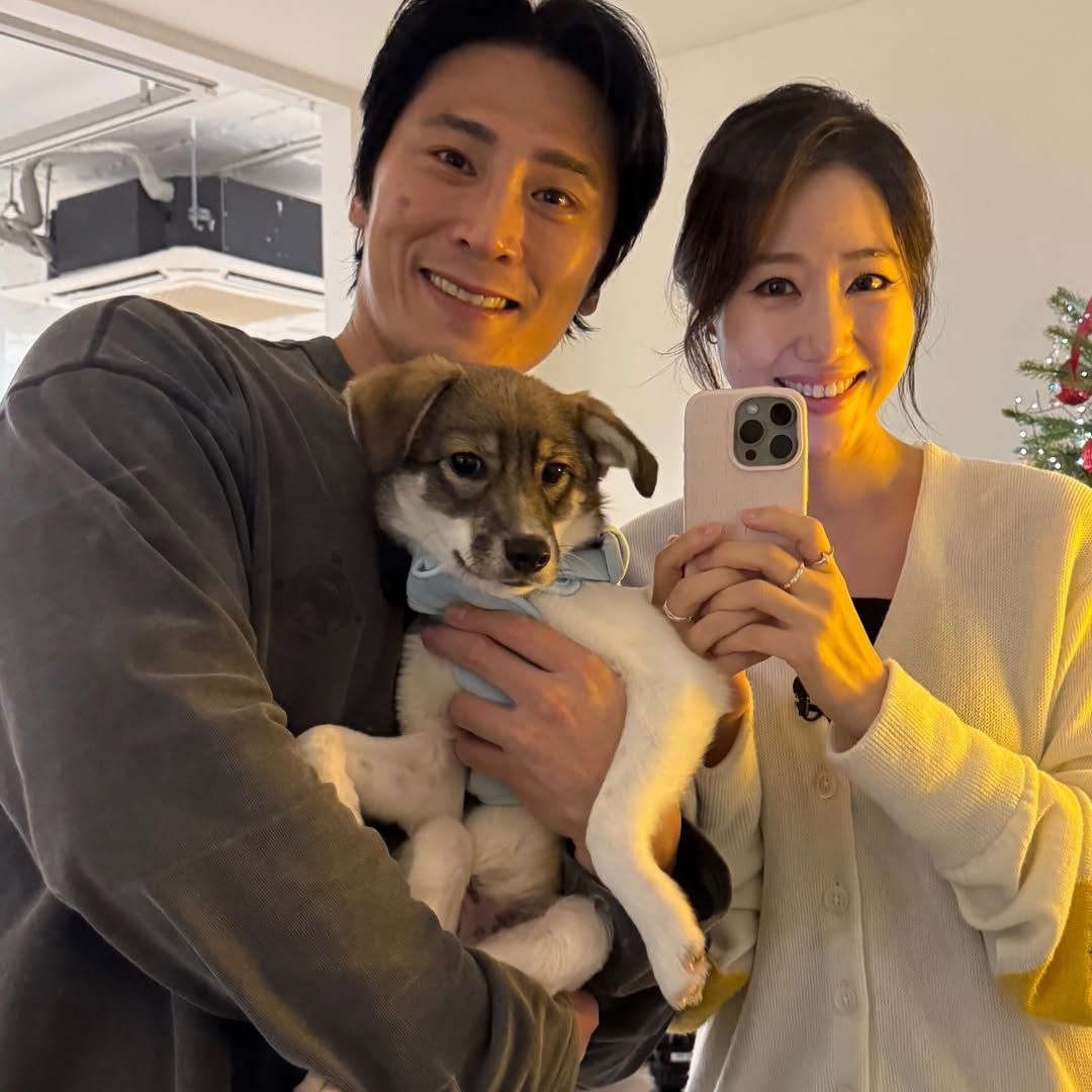 동물농장 똥개보필프로젝트에 참여중인 연예인과 임보 강아지들 | 인스티즈