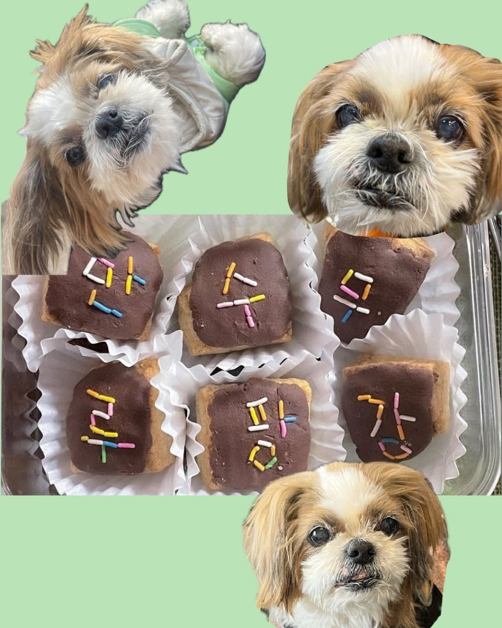 10분 거리에 사는 친구가 30분 지각한 이유 | 인스티즈